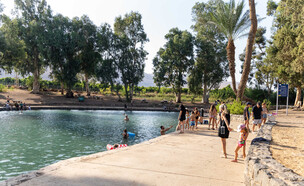 פארק המעניינות  (צילום: דוד בר)