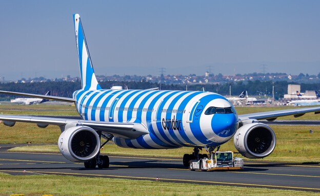 קונדור (צילום: Markus Mainka, shutterstock)