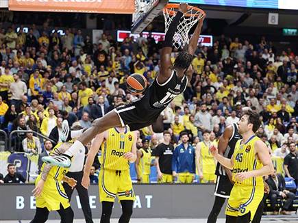 אך פרטיזן חזרה ובגדול (אלן שיבר)