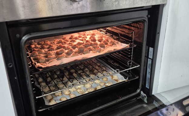 עדן אגם מבשלת לכלבות