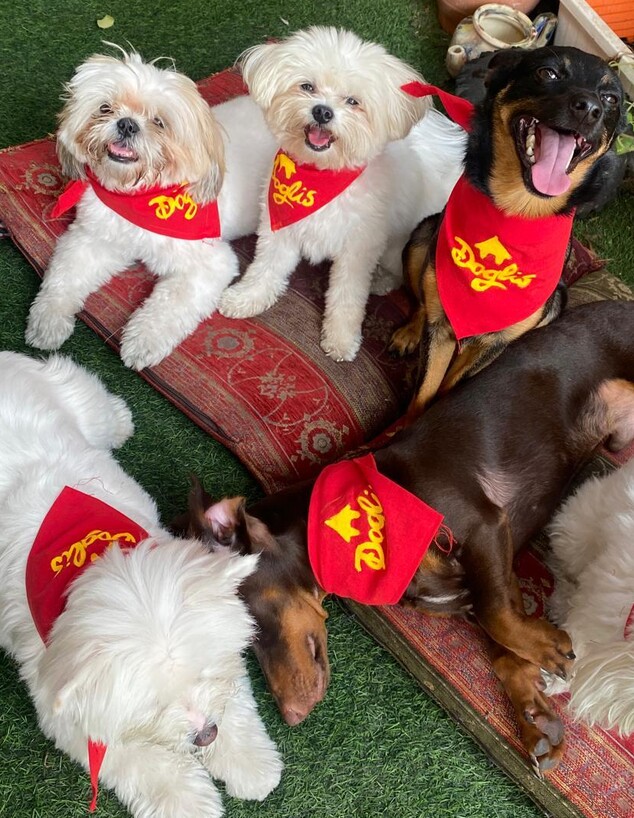 גן לכלבים דוגליס