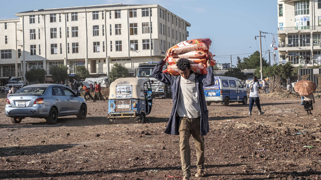 איש טיגראי אתיופיה
