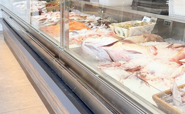 היצע ימי מסחרר. דגי הרייס בשפרעם