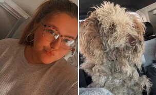 דייסון גארנר (צילום: 27 א')