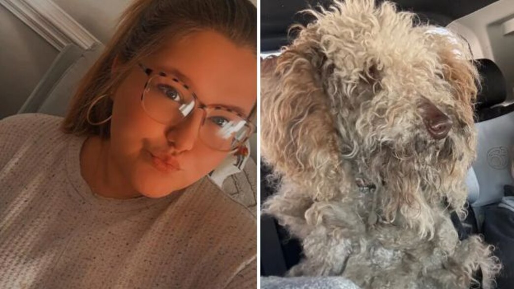 דייסון גארנר