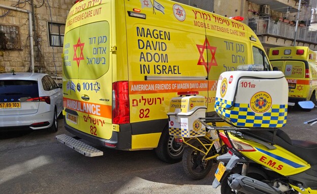 זירת האירוע (צילום: תיעוד מבצעי מד"א)