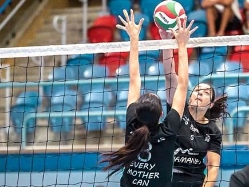 (אלי פאר) (צילום: ספורט 5)