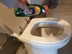 סבון כלים לשירותים (צילום: ליה אור )