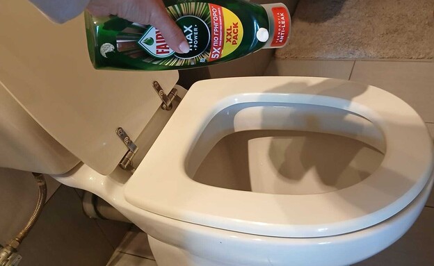 סבון כלים לשירותים (צילום: ליה אור )