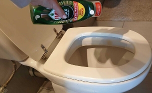 סבון כלים לשירותים (צילום: ליה אור )