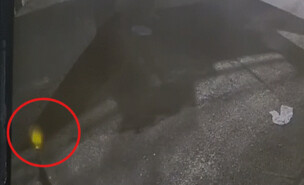 הירי בצפון (צילום: דוברות המשטרה)