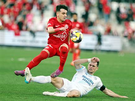 והיו אגרסיביות מאוד (אלן שיבר)