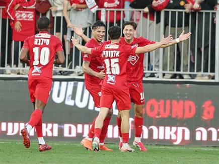 החגיגות של האדומים (אלן שיבר)