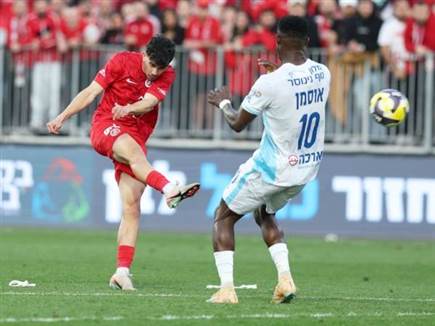 הוולה האדיר של אלקוקין (אלן שיבר)