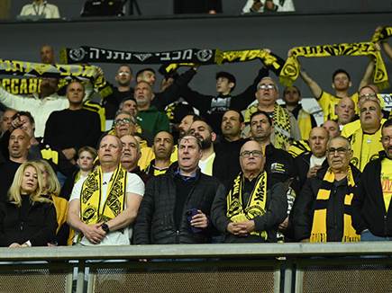 הקהל הצהוב תמך (ברני ארדוב)