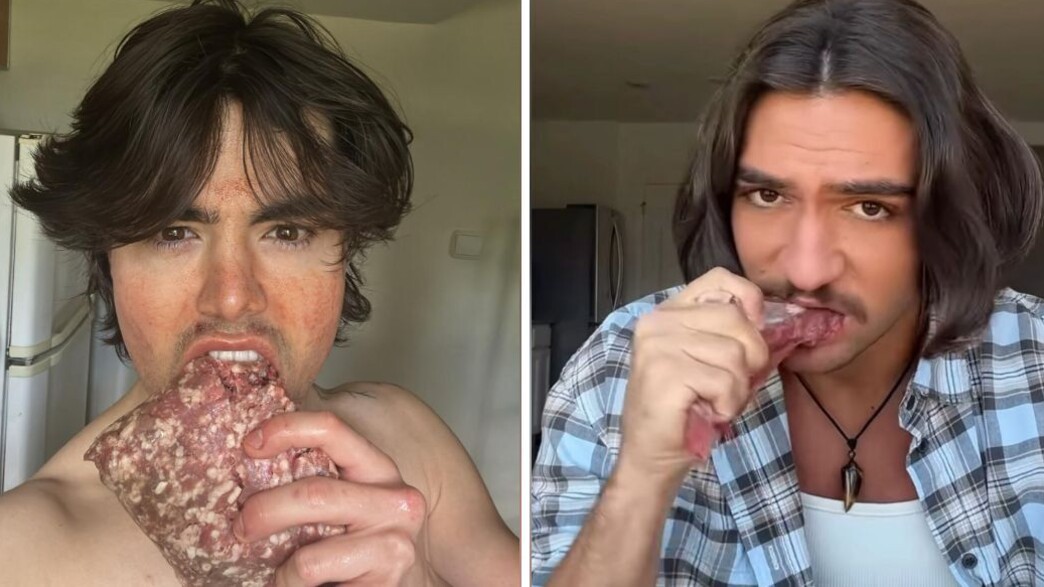 דיאטת הקרניבורים