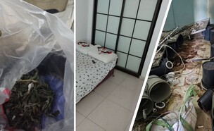 הנזק שנגרם לדירה, והסמים שנתפסו