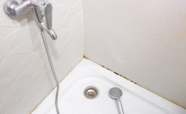 עובש ורטיבות (צילום: shutterstock_Evgeniia_Primavera)