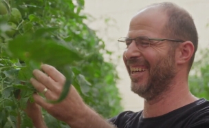 אושר בוכריס, אגרונום דשנים ב- ICL Group