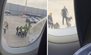 מתוך טיסת וויז אייר (צילום: באדיבות המצלמת)