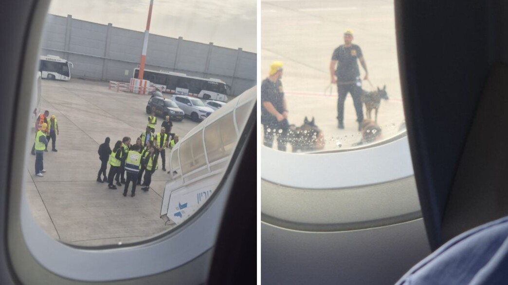 מתוך טיסת וויז אייר