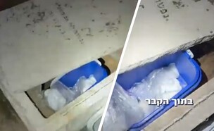 הסמים שאותרו בתוך קבר (צילום: דוברות המשטרה)