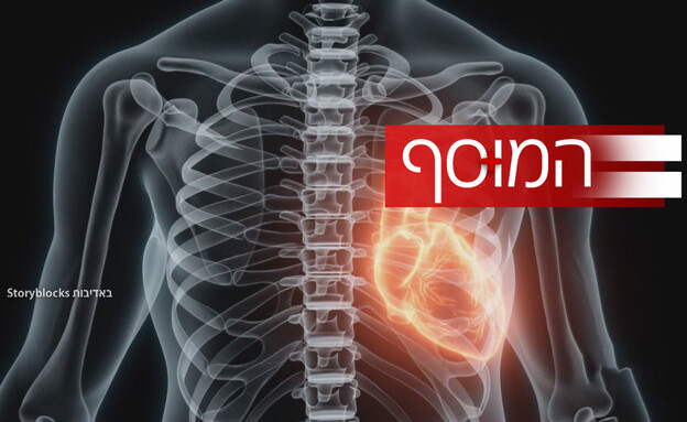 המוסף - בריאות (צילום: באדיבות Storyblocks)