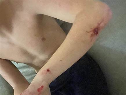 (באדיבות המשפחה) (צילום: ספורט 5)