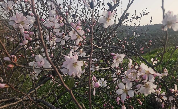 מבוא חמה ונחל מיצר