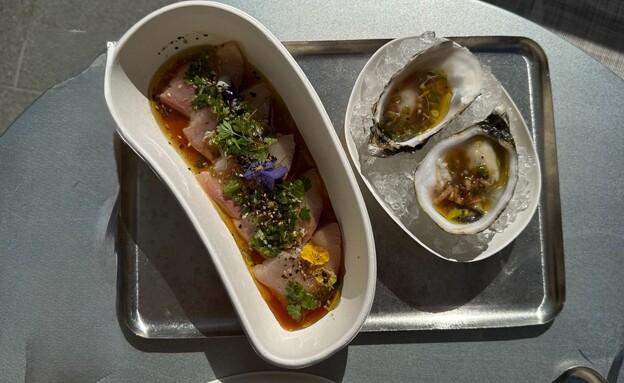 סשימי דג ואויסטרים בלב הקניון. ימה ביג פאשן 