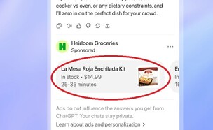 פרסומות ב-ChatGPT (צילום: openai)