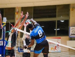 (אראל בורנשטיין) (צילום: ספורט 5)