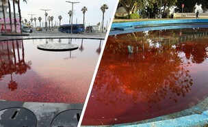 צביעת המזרקות (צילום: דוברות המשטרה)