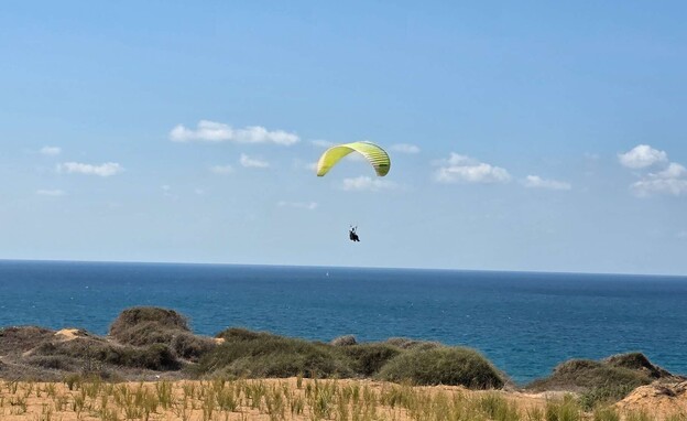מצוקי ארסוף