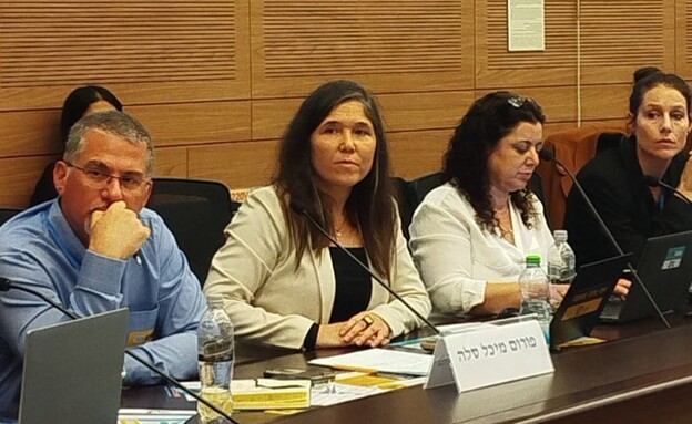 לילי בן עמי בדיון בכנסת על פתרונות לרצח נשים