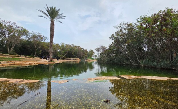 פארק המעיינות - עין שוקק
