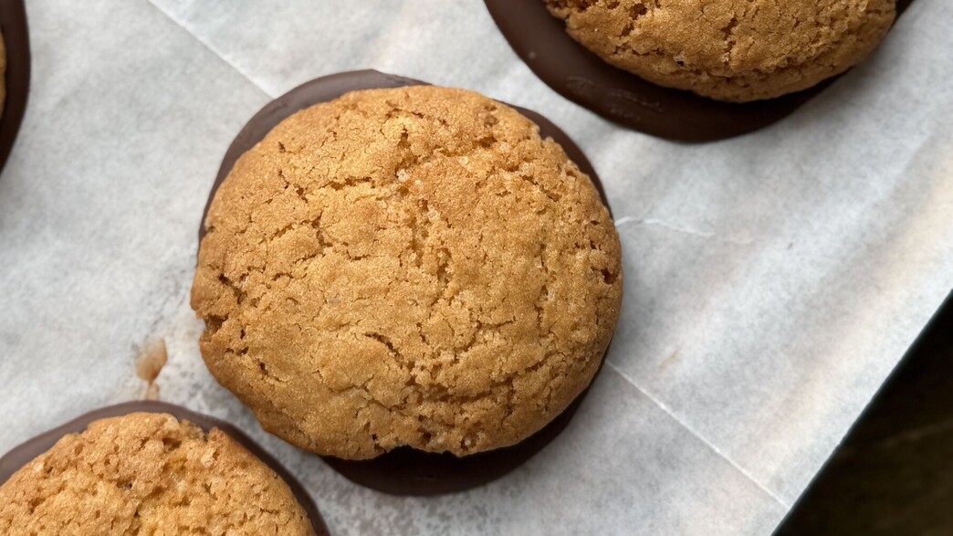 עוגיות מצופות שוקולד