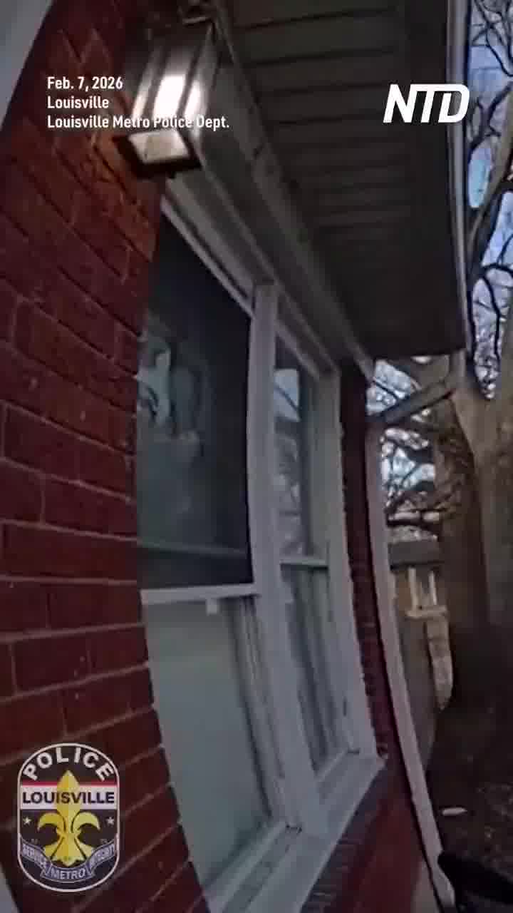 קנטאקי: בן 3 שנעדר אותר בחיים - והכל בזכות כלב חביב מהשכונה