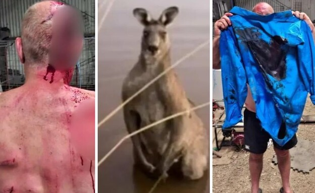 תקיפת קנגורו