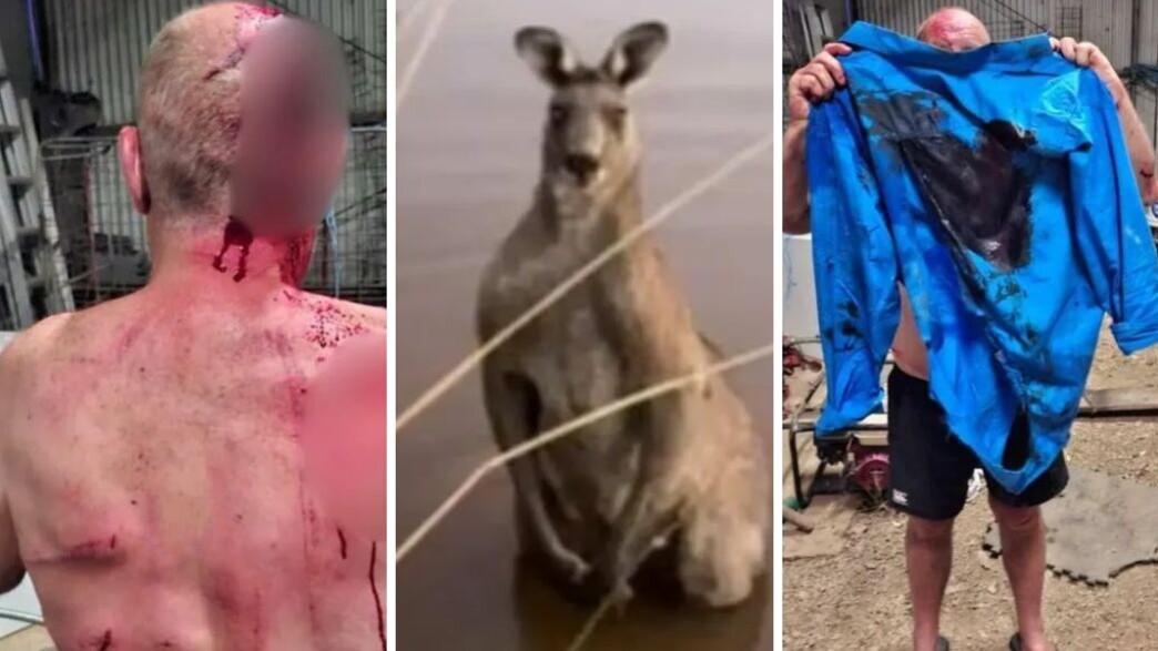 תקיפת קנגורו