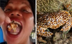 אמה אמיט (צילום: Facebook | Shutterstock: Alaa Sc)