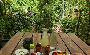 גן ירק מושב צופר (צילום: אורלי גנוסר)