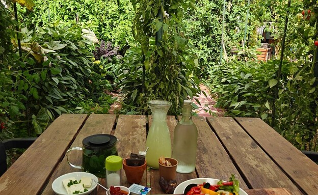 גן ירק מושב צופר (צילום: אורלי גנוסר)