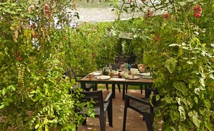 גן ירק מושב צופר (צילום: אורלי גנוסר)