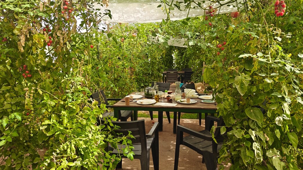 גן ירק מושב צופר