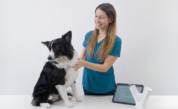 כלב עובר בדיקה לגילוי גידול סרטני (צילום: Eliors)