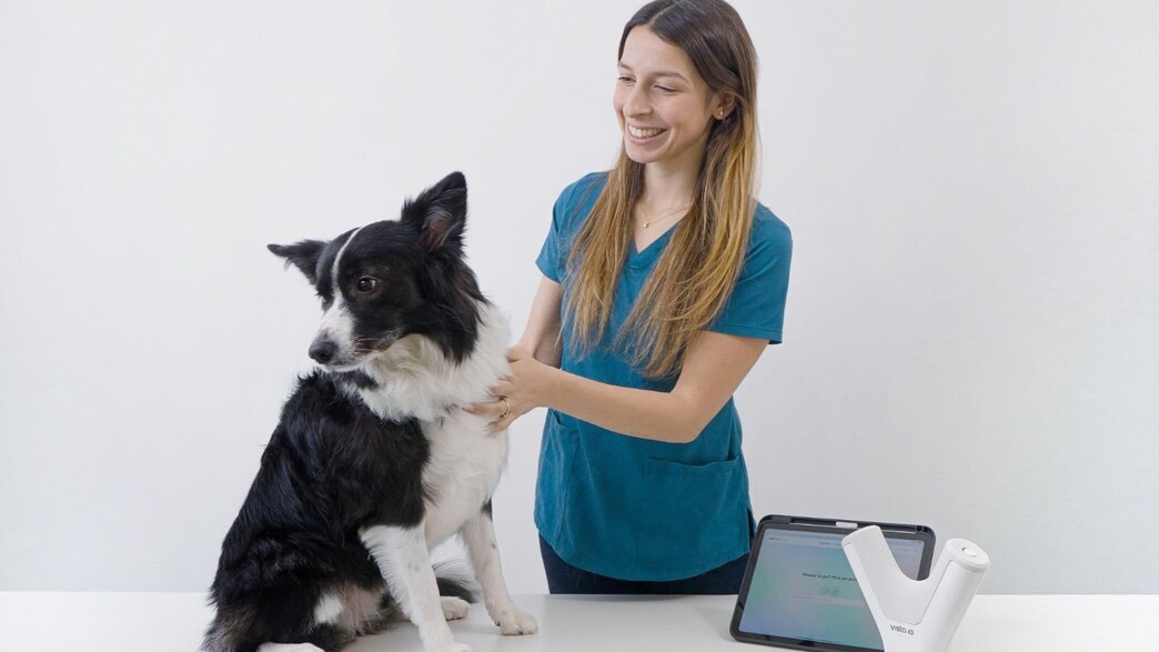 כלב עובר בדיקה לגילוי גידול סרטני