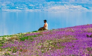 פריחה בים המלח (צילום: מתוך עמוד האינסטגרם של @jacobychye)