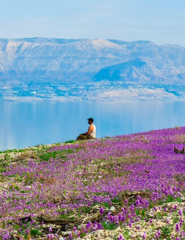 פריחה בים המלח