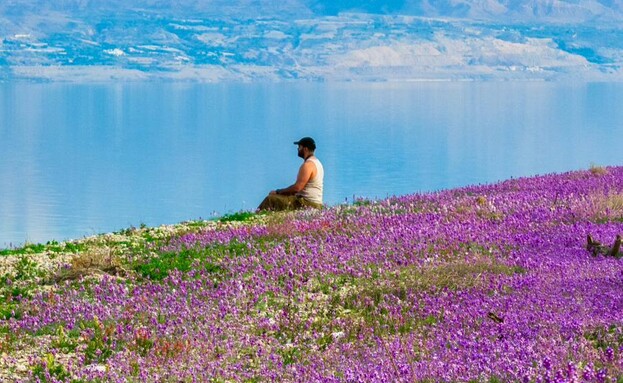 פריחה בים המלח